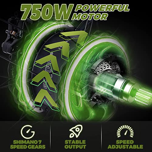 750W Electric Bike 26 测 Fat Tire Adult Electric Bicycles 48V 13AH Removable Lithium Battery Ebike with Suspension Fork Aluminium Frame Beach Snow Mountain E-Bike for Adults