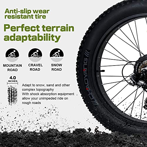 750W Electric Bike 26 测 Fat Tire Adult Electric Bicycles 48V 13AH Removable Lithium Battery Ebike with Suspension Fork Aluminium Frame Beach Snow Mountain E-Bike for Adults